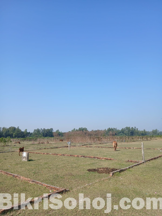 আবাসন জমি ৩ কাঠা